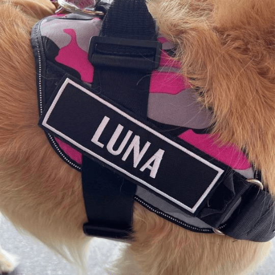 dog harness embroidered
